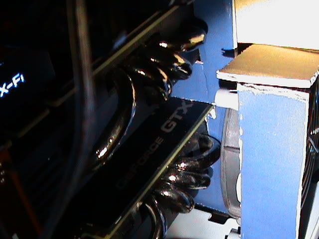 DSC00044.jpg