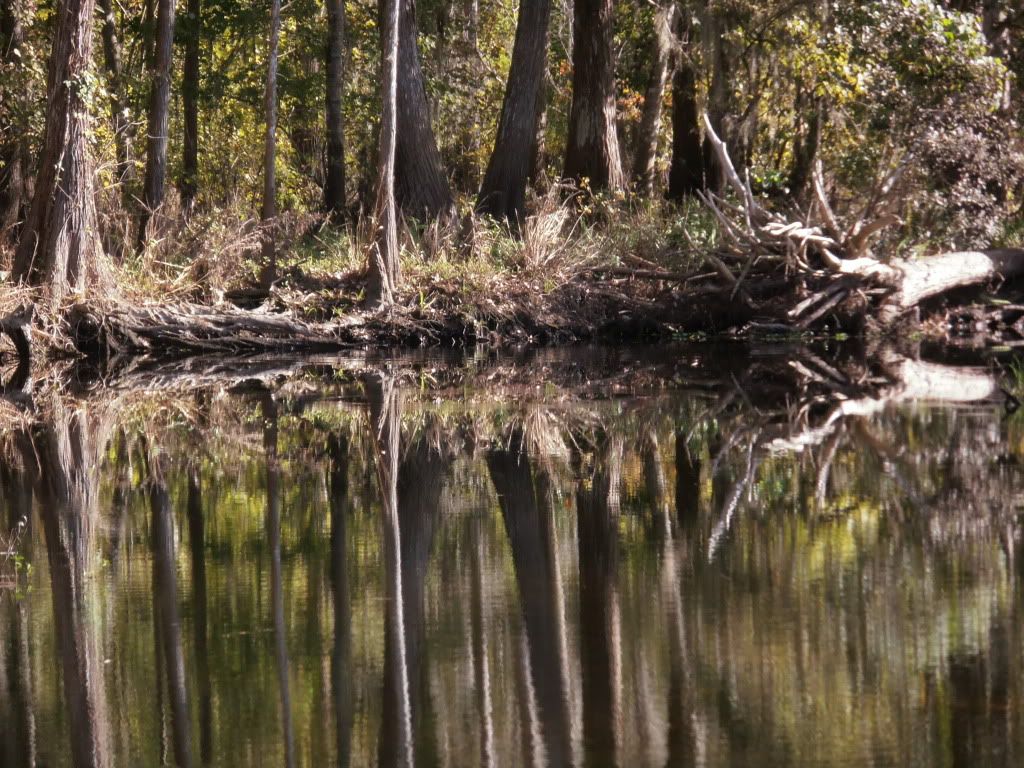 IMAGE: http://i1231.photobucket.com/albums/ee501/elizarainphotography/PC230004.jpg