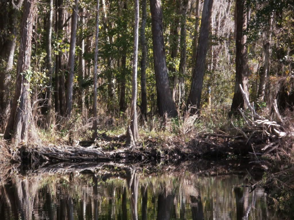 IMAGE: http://i1231.photobucket.com/albums/ee501/elizarainphotography/PC230006.jpg