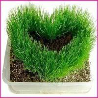 [TomShop] Quà Tặng bạn bè - người thân - tỳnh iu - độc đáo , cực kỳ ý nghĩa - 20