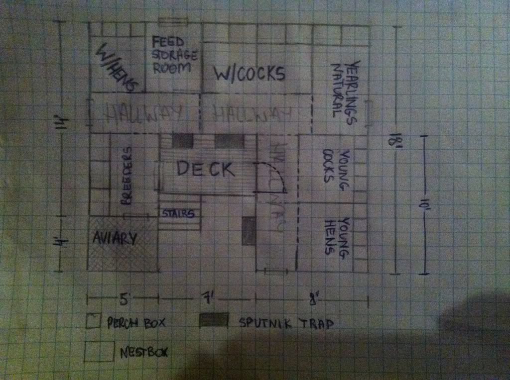 New Loft Floor Plans Pigeon Talk