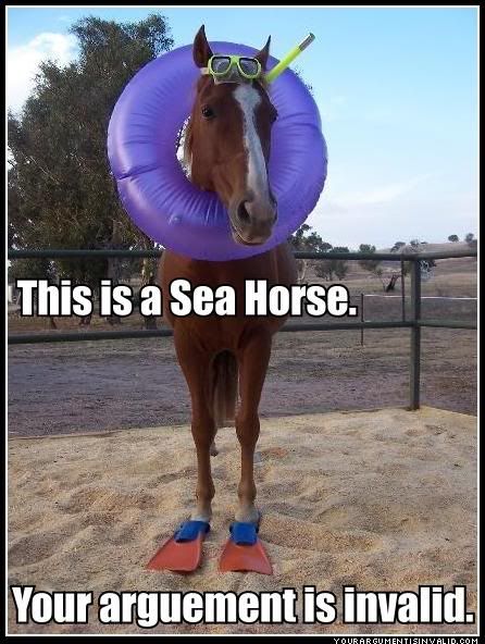 Seahorse - Post some funny images/gifs for my amusement (: - RaGEZONE Forums