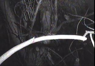 2-72_zpsb95b0179.jpg