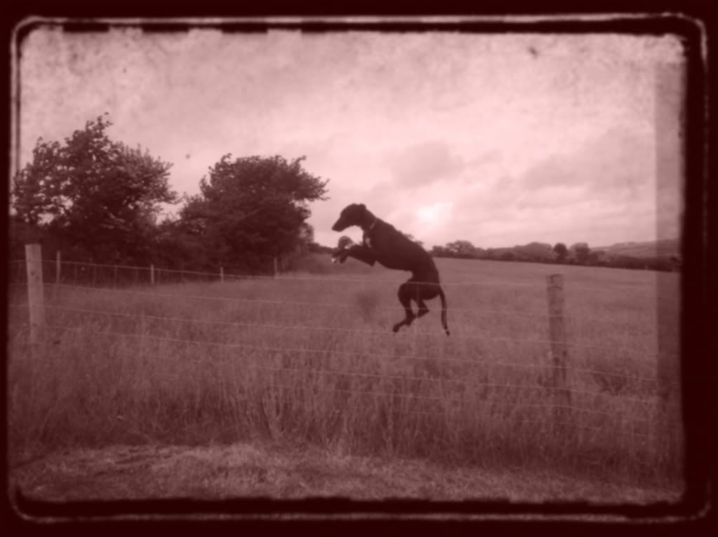 15052011607-2.jpg
