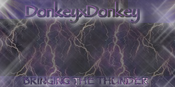 DonkeyxDonkeybringingthethunder.png