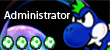 Admin Admin