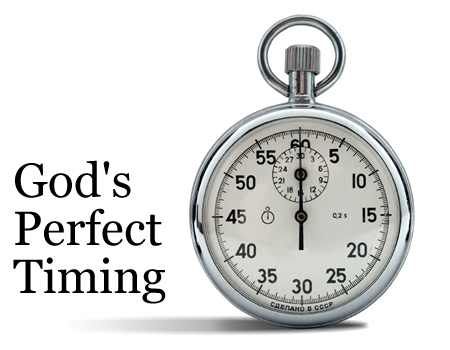gods timing Pictures, Images and Photos