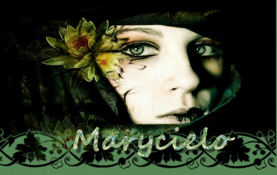 Imagen1_1x1.gif 2