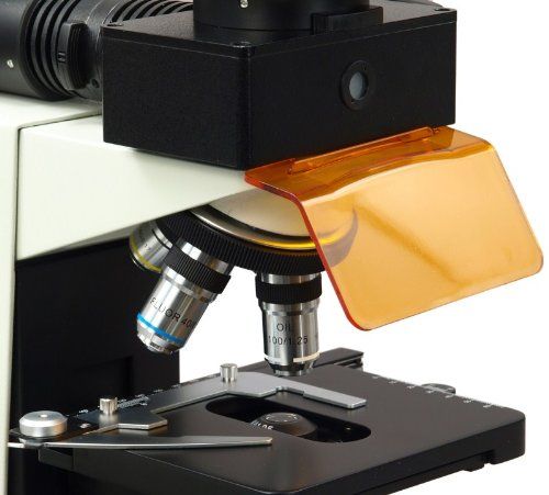 Professional EPI-Fluorescence Trinocular