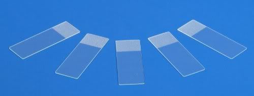 100 pcs slides