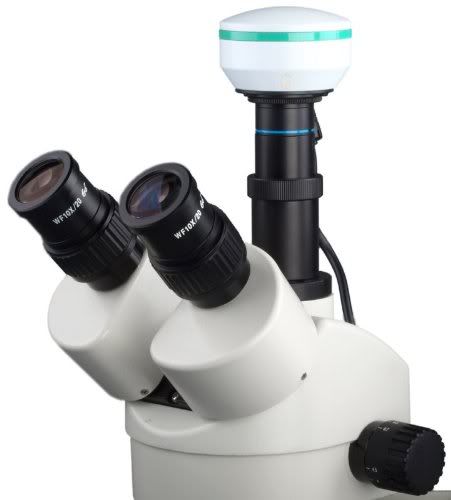 szt2mp