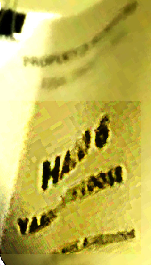 Halo6LEAK.png