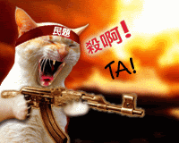 catkiller.gif