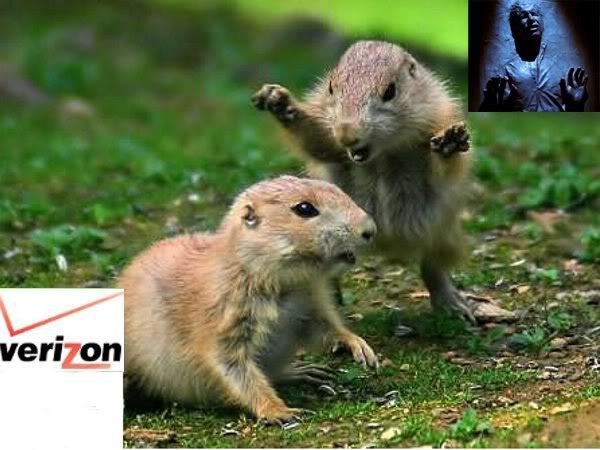 110111125351squirrelscopy.jpg
