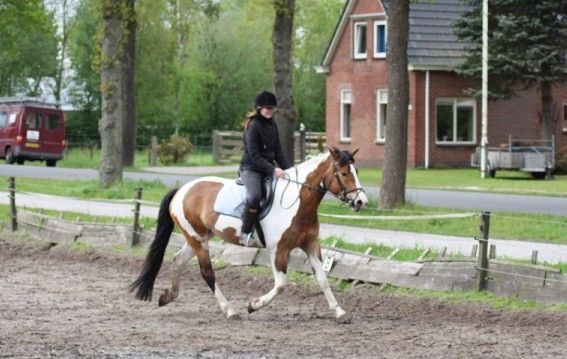 Afbeelding