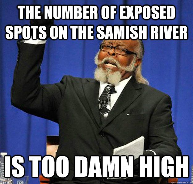 fishwhatcom.com fishwhatcom.com