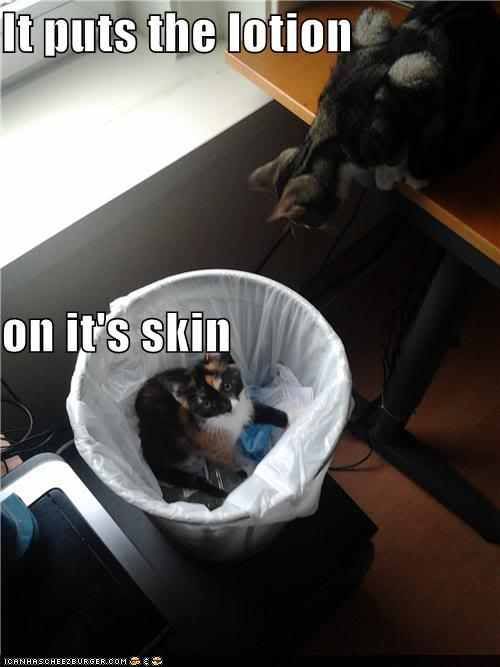 it puts the lotion photo: Lol Cats: Silence Of The Lambs 1 funny-pictures-it-puts-the-lotion-on-its-skin.jpg