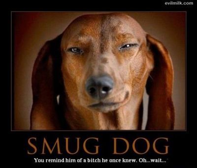 smug-dog.jpg