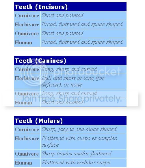 teeth.jpg