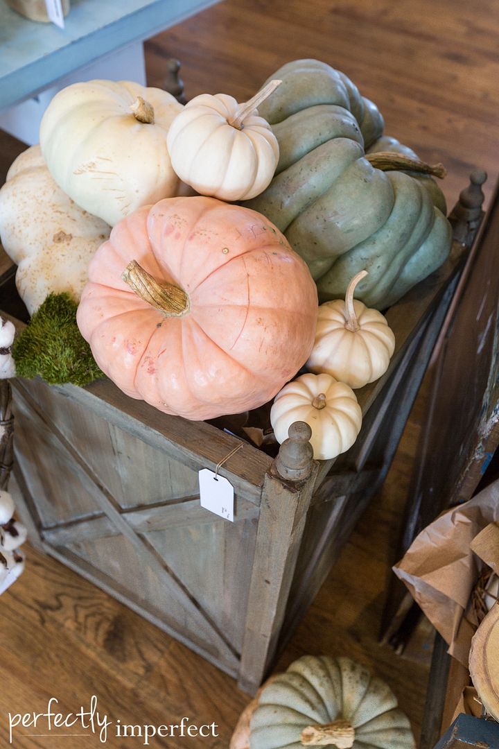 The Market on Chapel Hill Displays | Perfectly Imperfect