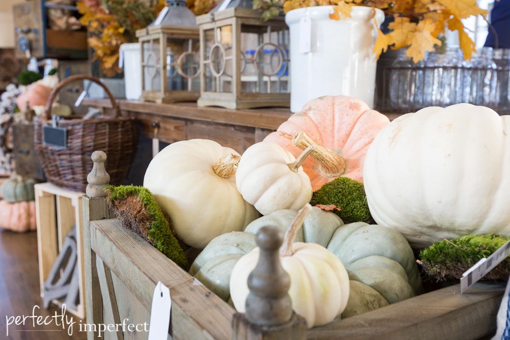 The Market on Chapel Hill Displays | Perfectly Imperfect