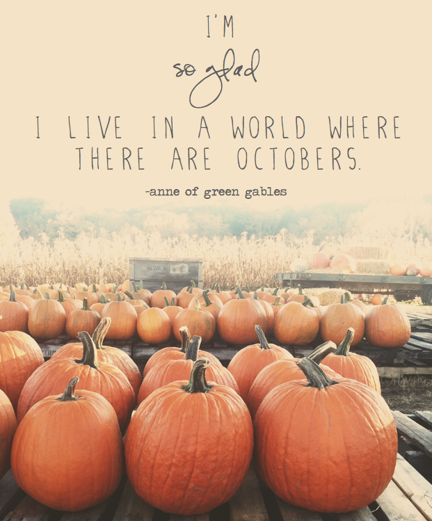 Fall Inspiration | Fall Photography | Apple Orchard | Perfectly Imperfect