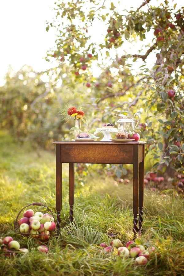 Fall Inspiration | Fall Photography | Apple Orchard | Perfectly Imperfect