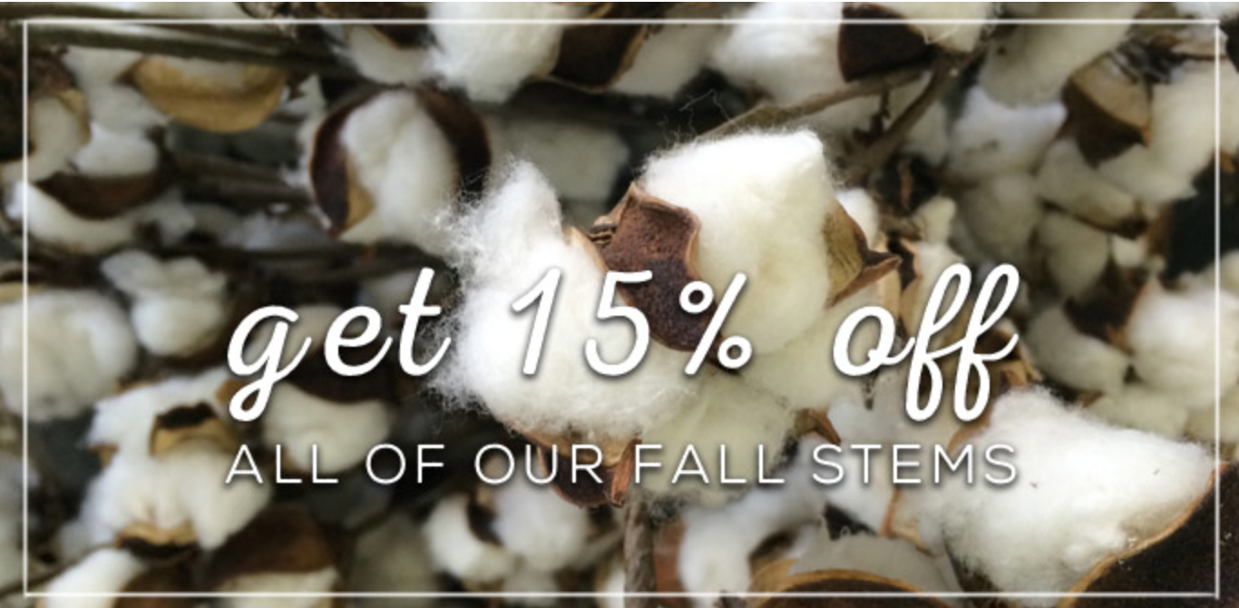Fall Stem Sale | Perfectly Imperfect