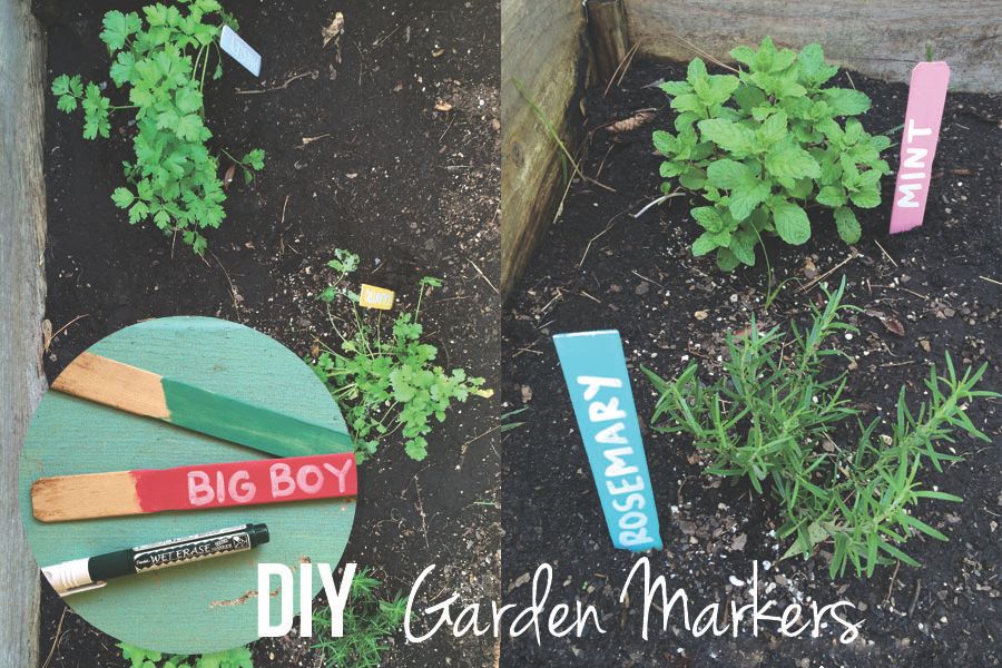 The Beginnings of a Garden | perfectly imperfect