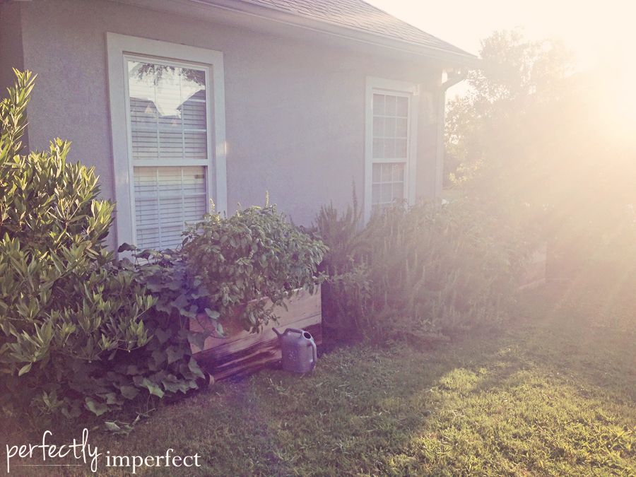 Summer Is... | perfectly imperfect