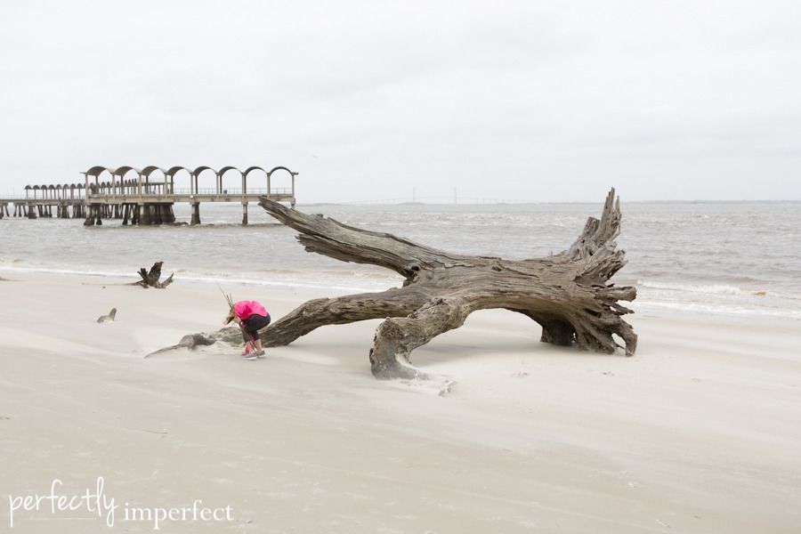 Jekyll Island, Georgia | Perfectly Imperfect