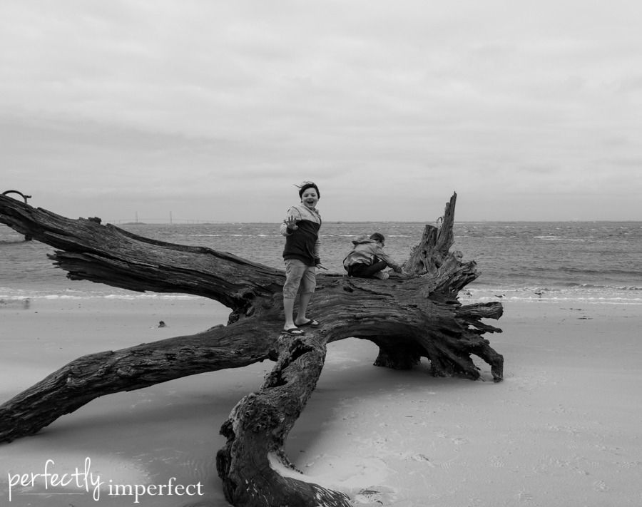 Jekyll Island, Georgia | Perfectly Imperfect