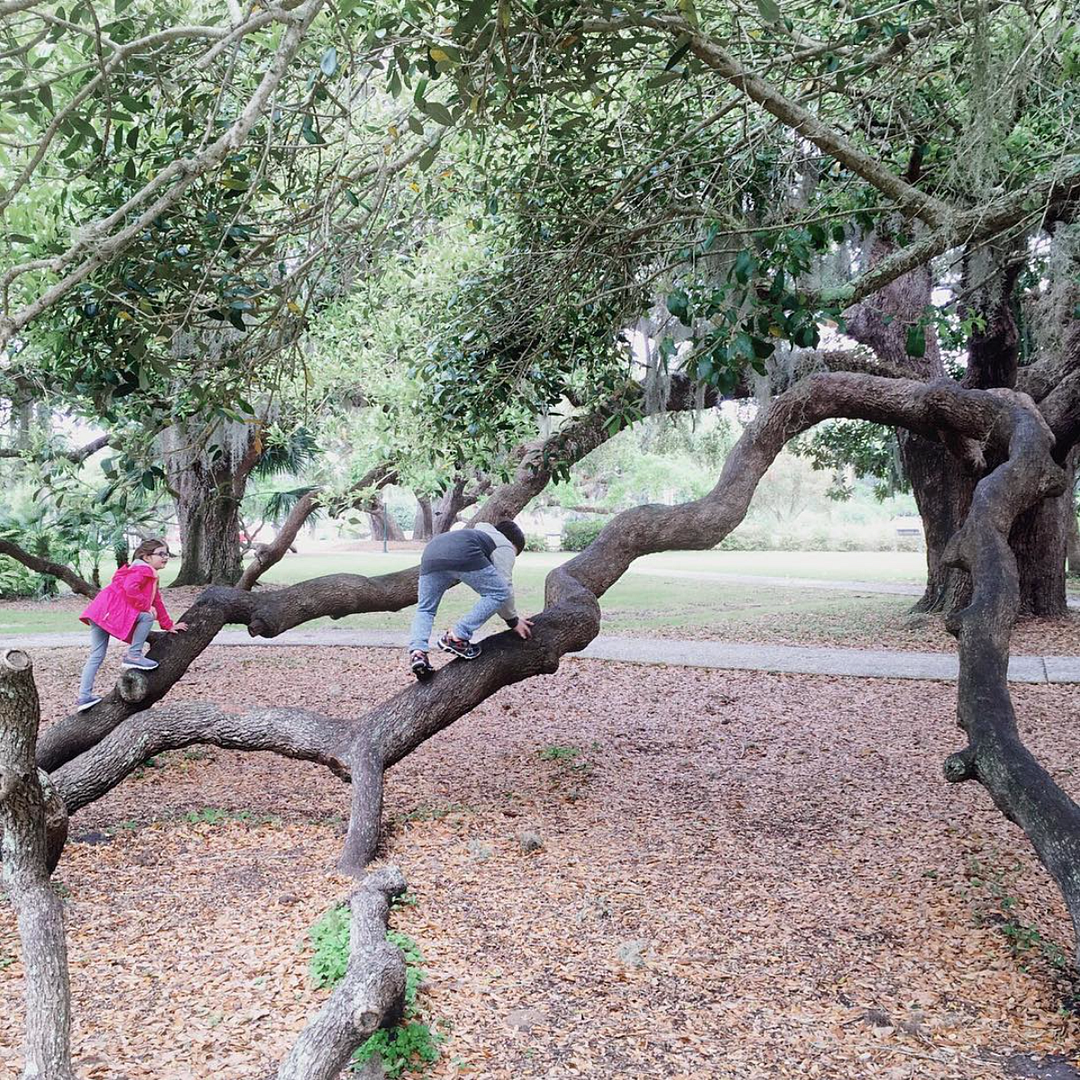 Perfectly Imperfect | Jekyll Island, Georgia