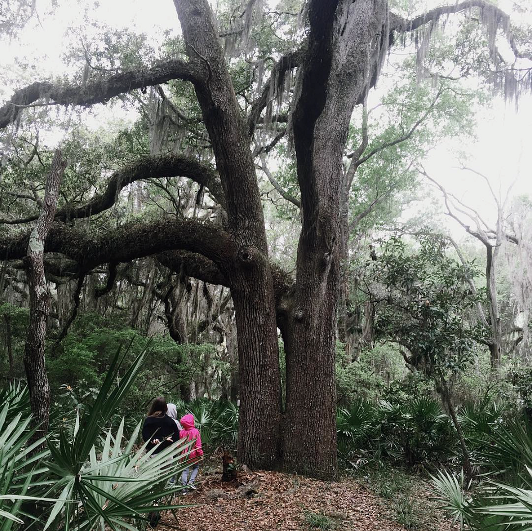 Perfectly Imperfect | Jekyll Island, Georgia