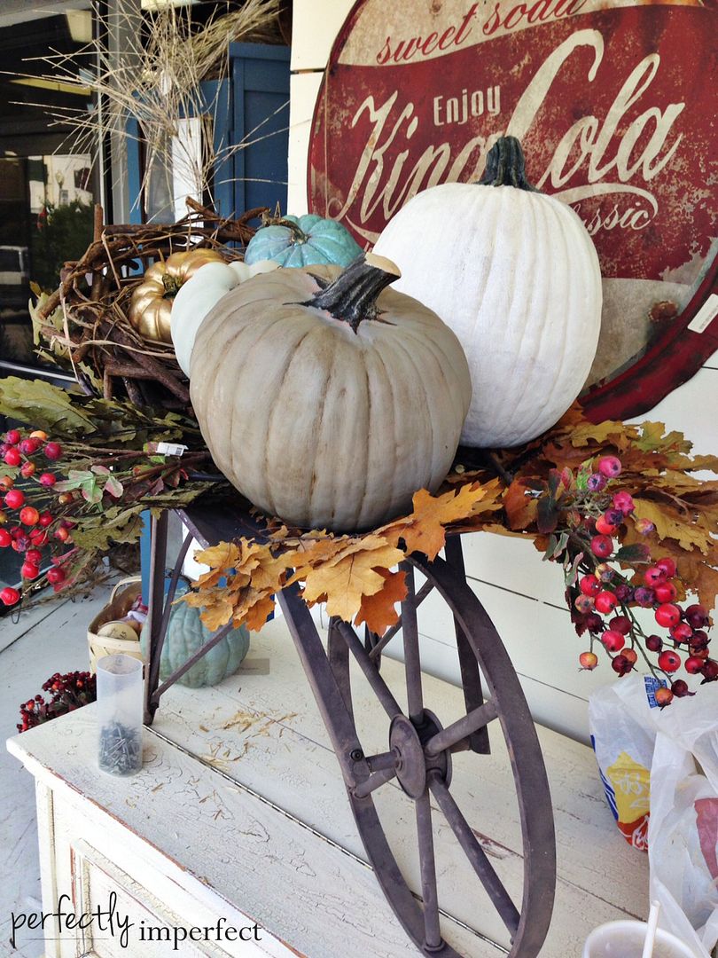 Fall Displays in the Shop | perfectly imperfect