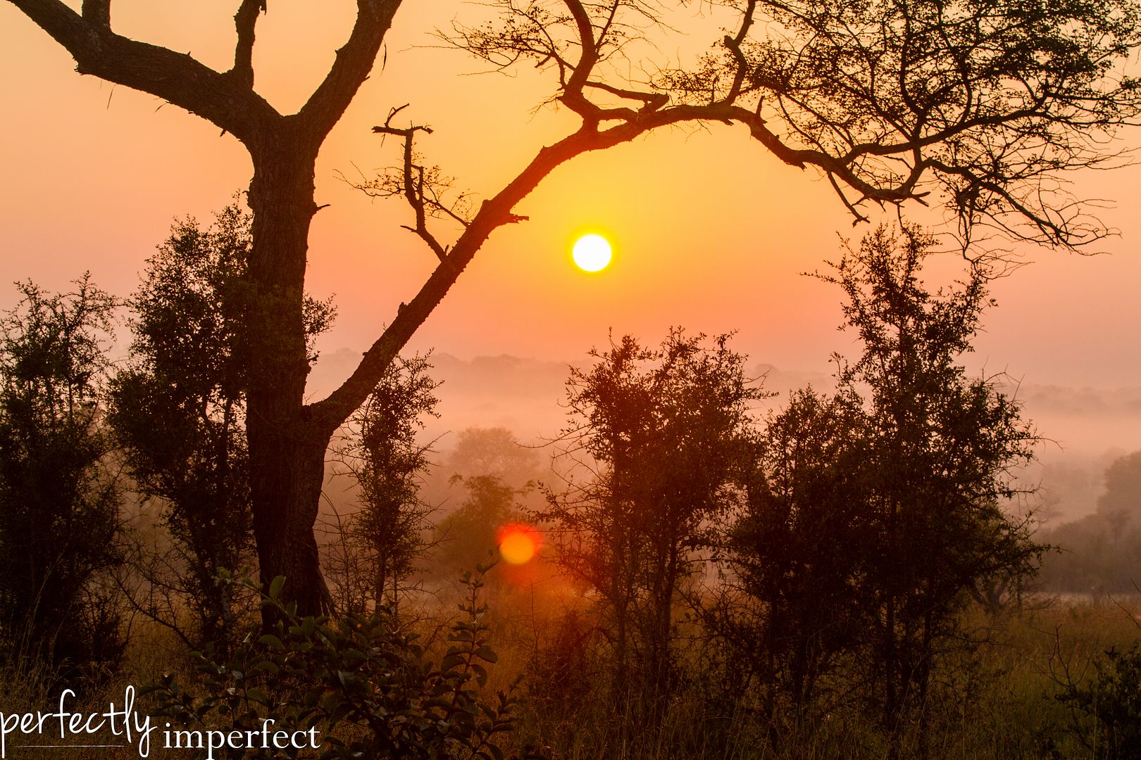 South Africa, Part 2 | Sabi Sabi | perfectly imperfect travel