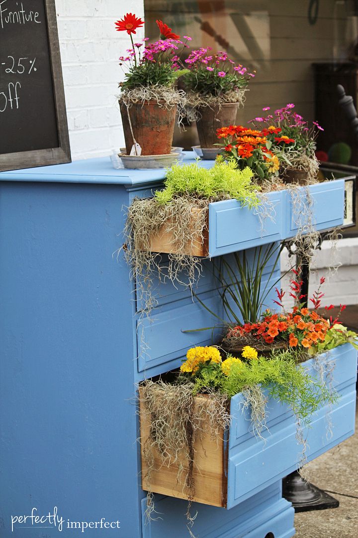 Greek Blue Dresser Turned Planter | perfectly imperfect