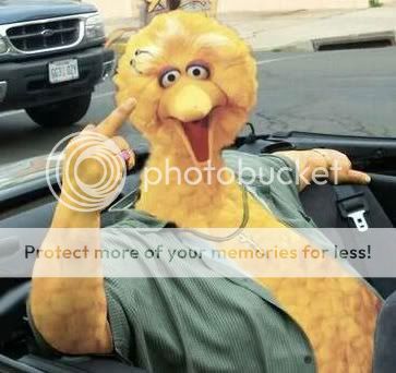 bigbird.jpg