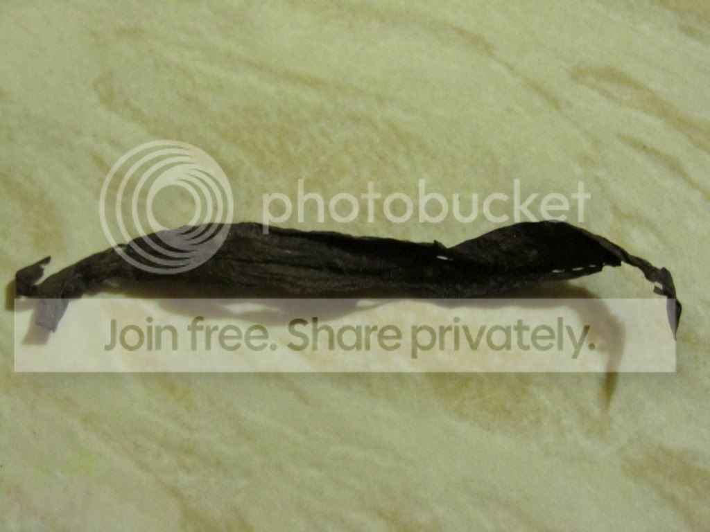 200112036.jpg