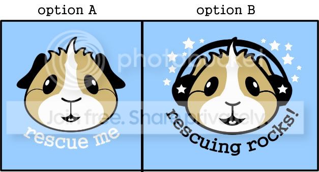 poll.jpg