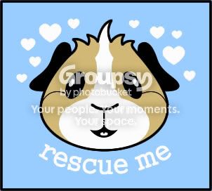 rescue_me_hearts.jpg
