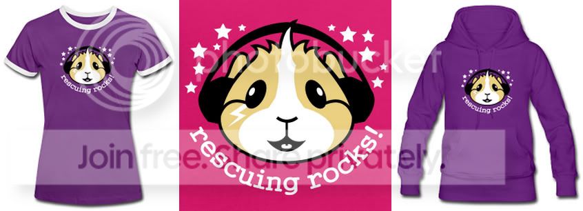 rescuingrocks.jpg