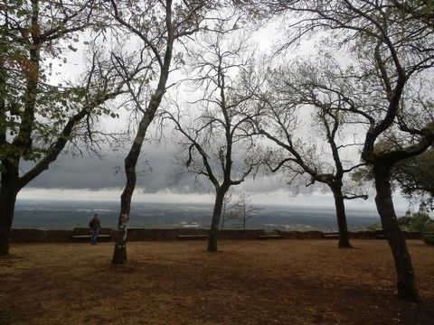 photo P9271005_zps021ab790.jpg